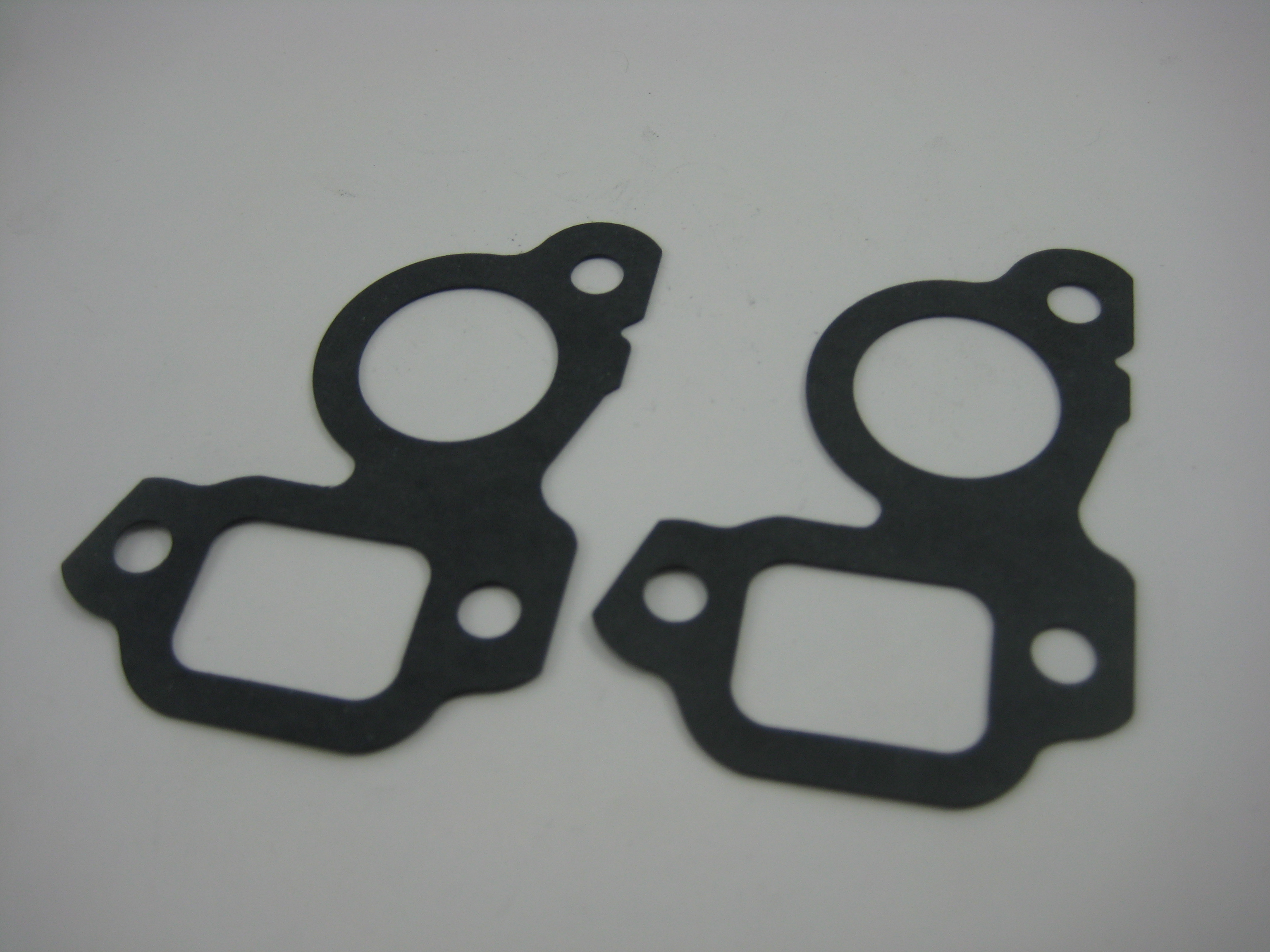 1998 GM LS1 Water Pump Gaskets (Pair)